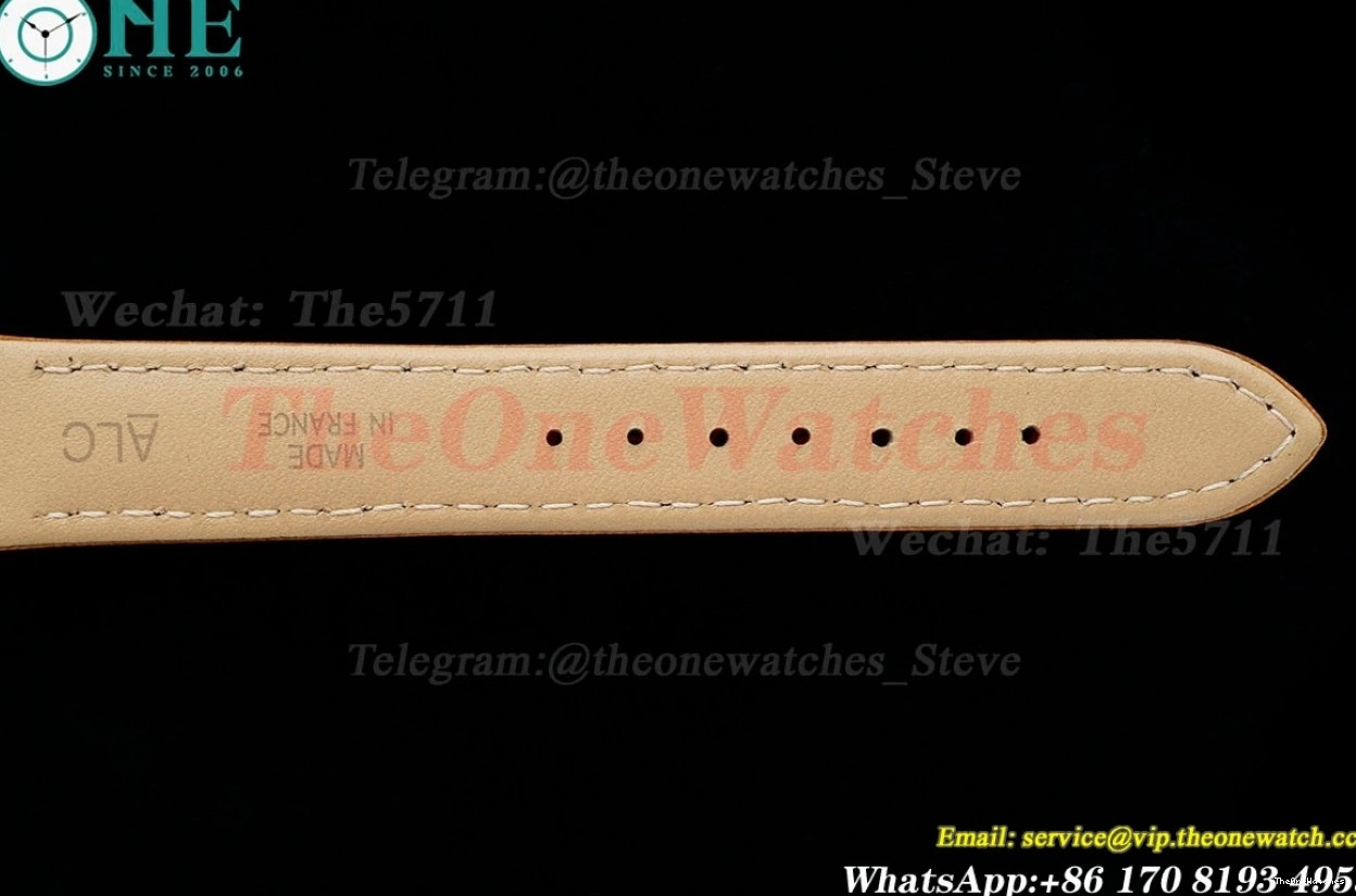 Dumont Dial Brown Silver Santos SS AF LE Quartz 0402